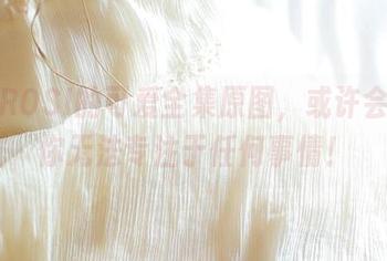 看！ROSI的可爱全集原图，或许会导致你无法专注于任何事情！