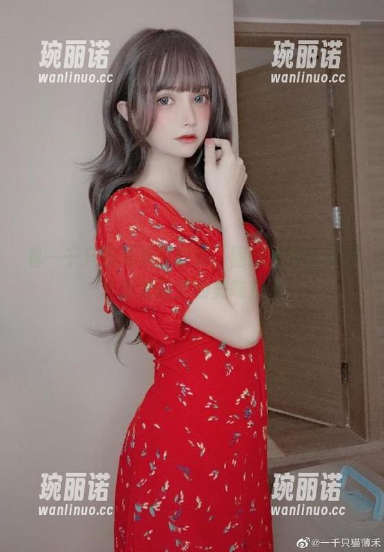 看一千只猫薄禾当厨娘，图册里每些小细节都是调皮的美味拼盘