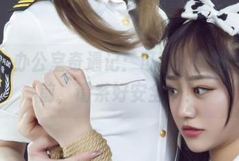 丽柜 – 办公室奇遇记：可馨的图库，下载前，请系好安全带！