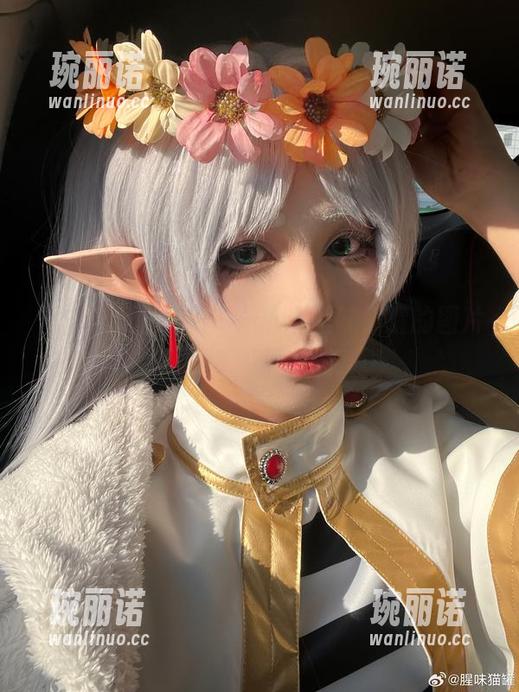“夏天又腥又甜”——看腥味猫罐的图片策略，资源满满。
