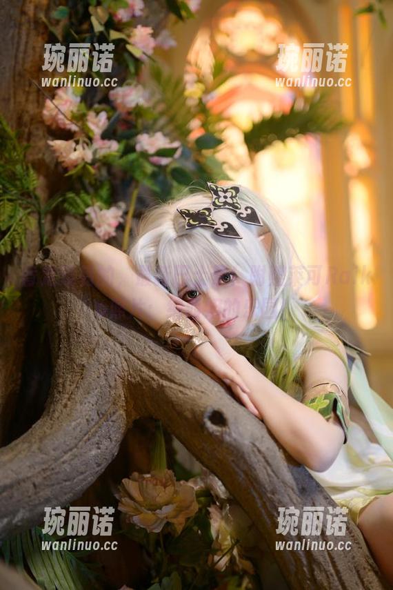 肯定没错的，最新巴士票！附赠莱可Raika照片：纳西妲的乐园！