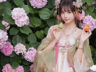 花之魁？贰加六其实是暗藏的图集狂魔