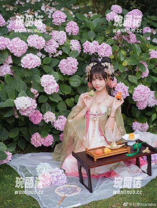 花之魁？贰加六其实是暗藏的图集狂魔